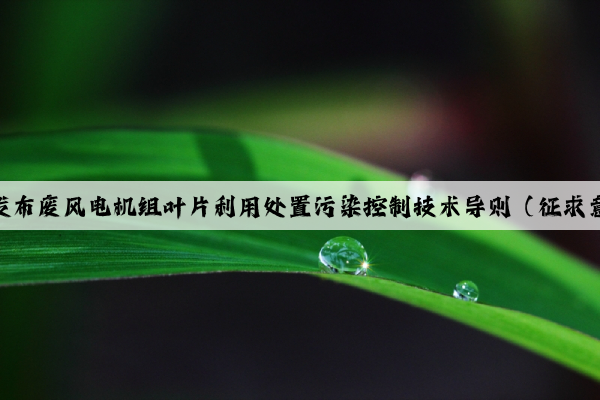 青海省發布廢風電機組葉片利用處置污染控制技術導則（征求意見稿）